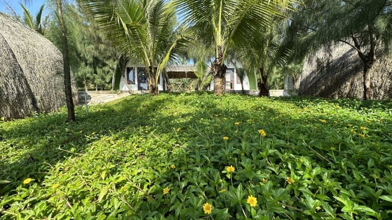 Bungalow Hướng Biển Gia Đình (2 Người Lớn & 2 Trẻ Em) 9